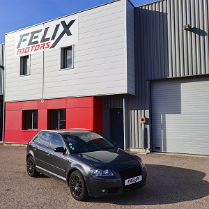 Local FELIX Motors